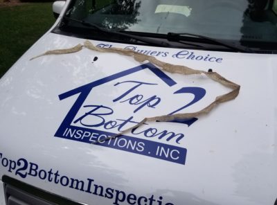 Top 2 Bottom Inspection Gallery